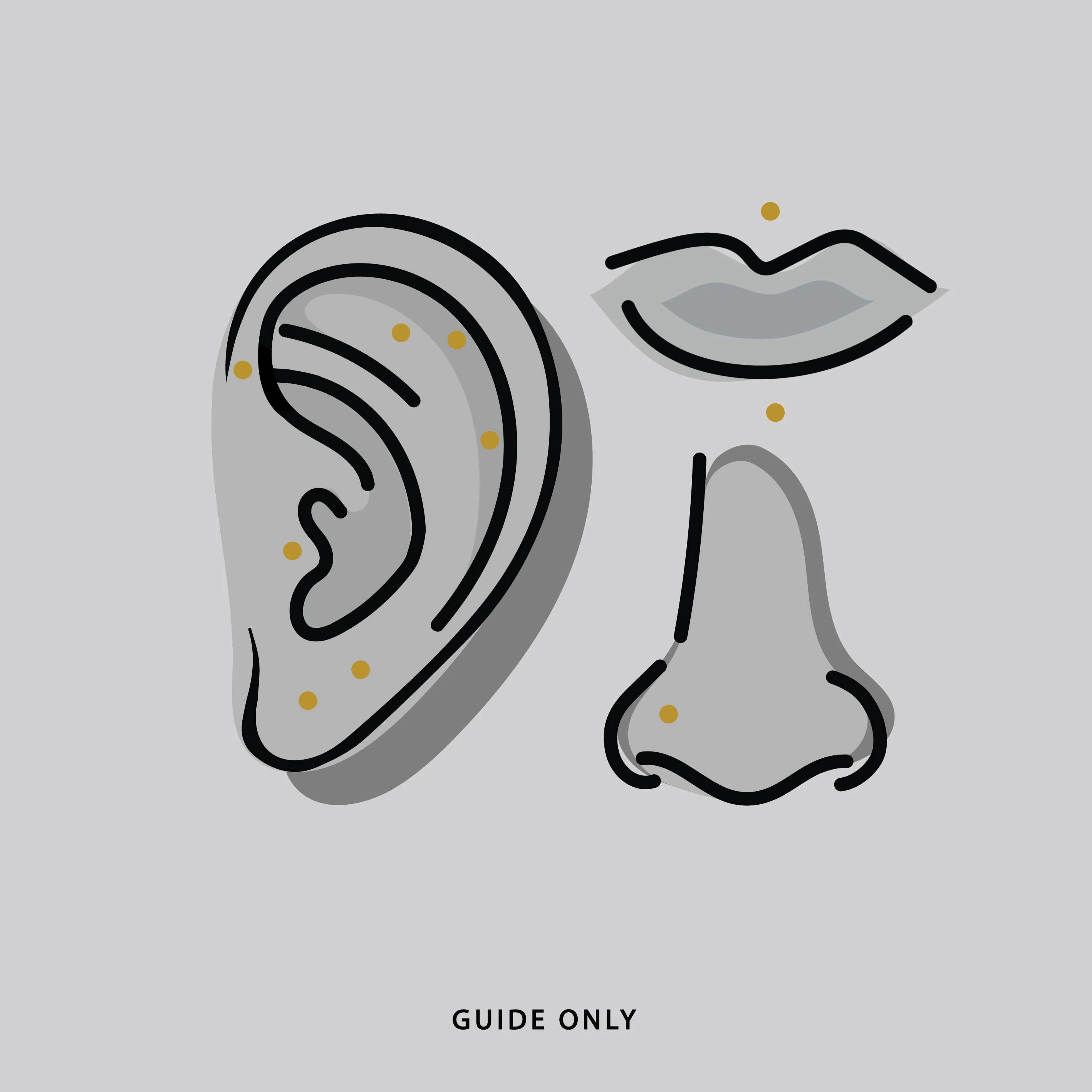 Titanium Flatback Stud - Silver - Image 2